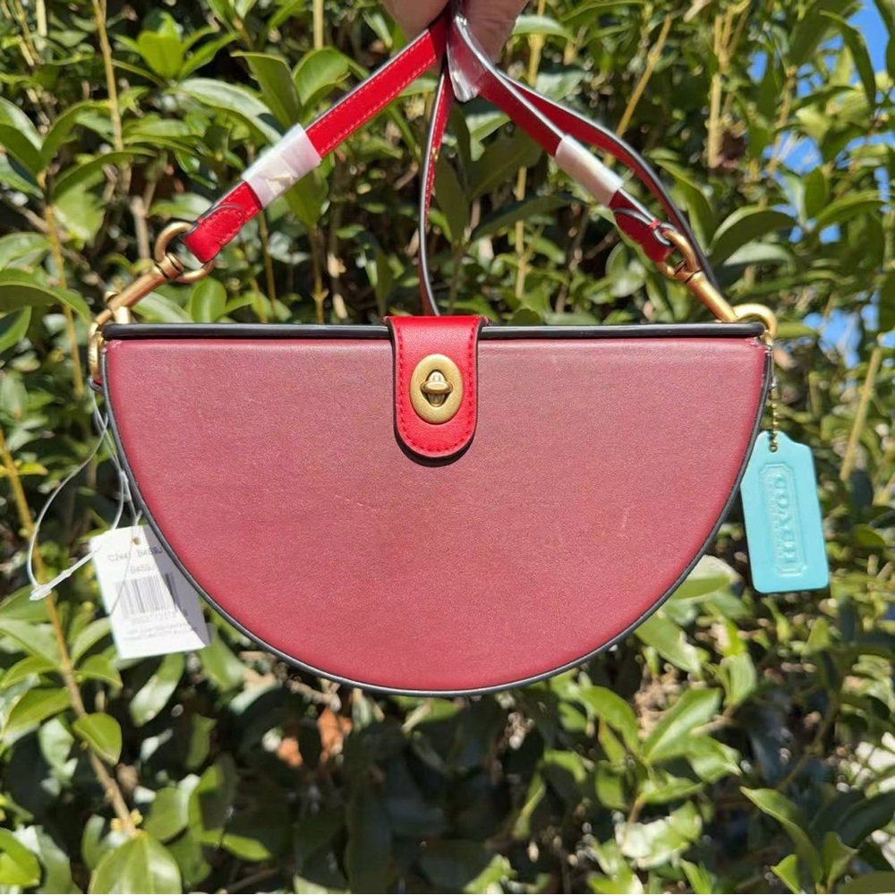 NWT Coach Lunar New Year Semi Circle Bag in Signature Canvas C2441